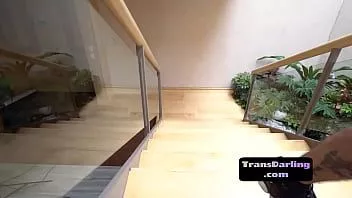 play Peituda trans latina bordada antes do sexo sem sela