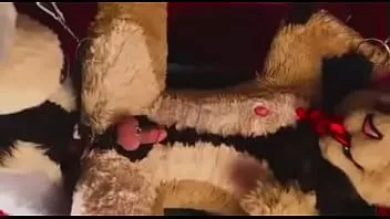 চালান অসহায় সিংহ দোলনায় suiters দ্বারা fucked