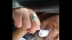 Play Latina Slut Gives Blowjob in Car and Swallows Cum
